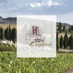 Logo-Capitoni-Marco-cantina-orcia