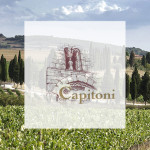 logo.marco-capitoni-orcia