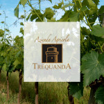 Logo-cantina-Trequanda-orcia