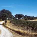 Poggio_Grande_orcia_sentiero