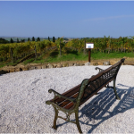 Vista_vigneti_orcia_fattoria_del_colle