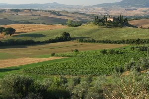 val-d-orcia-view